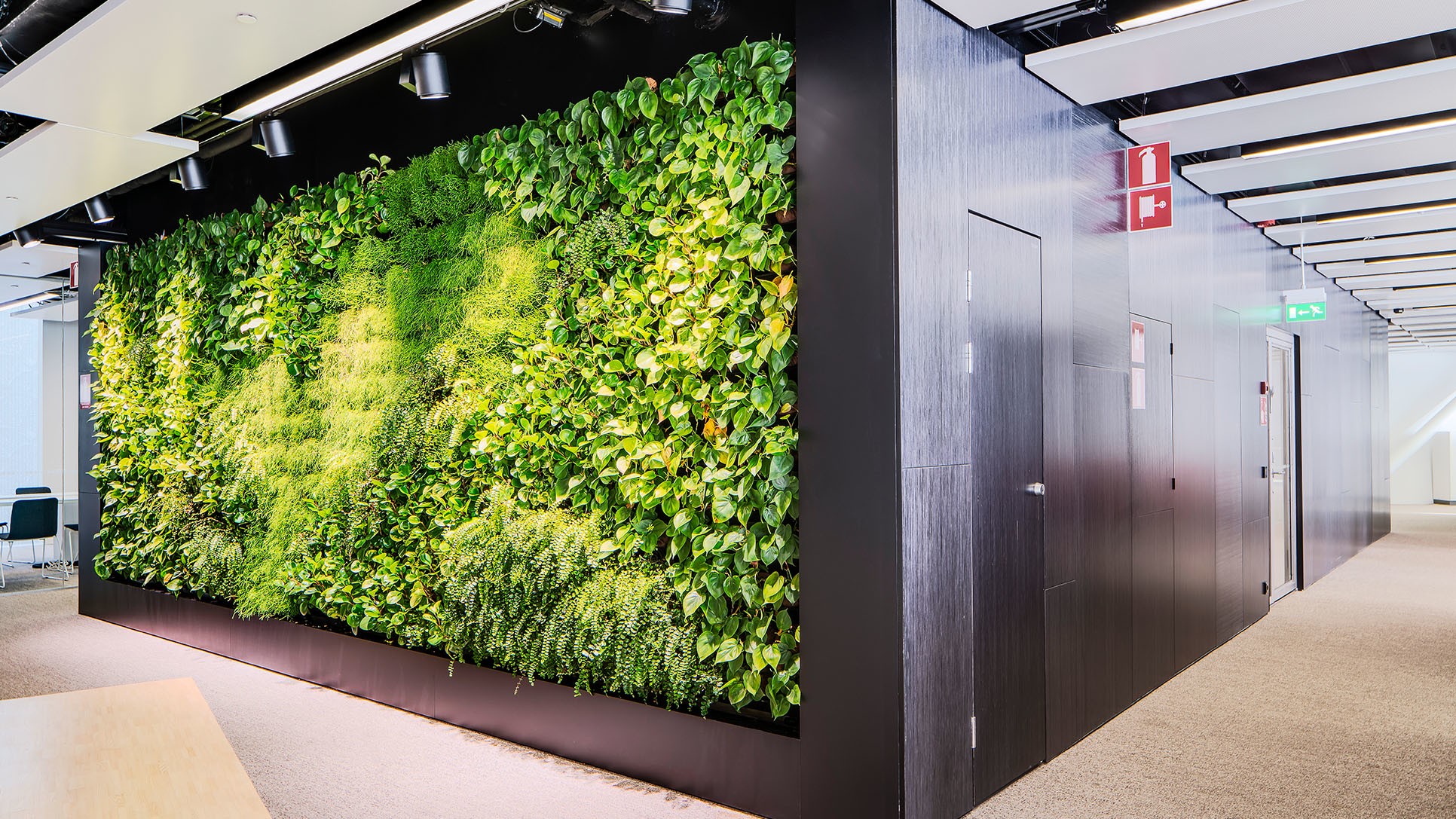 Green Wall Design: Nature-Infused Architectural Innovations