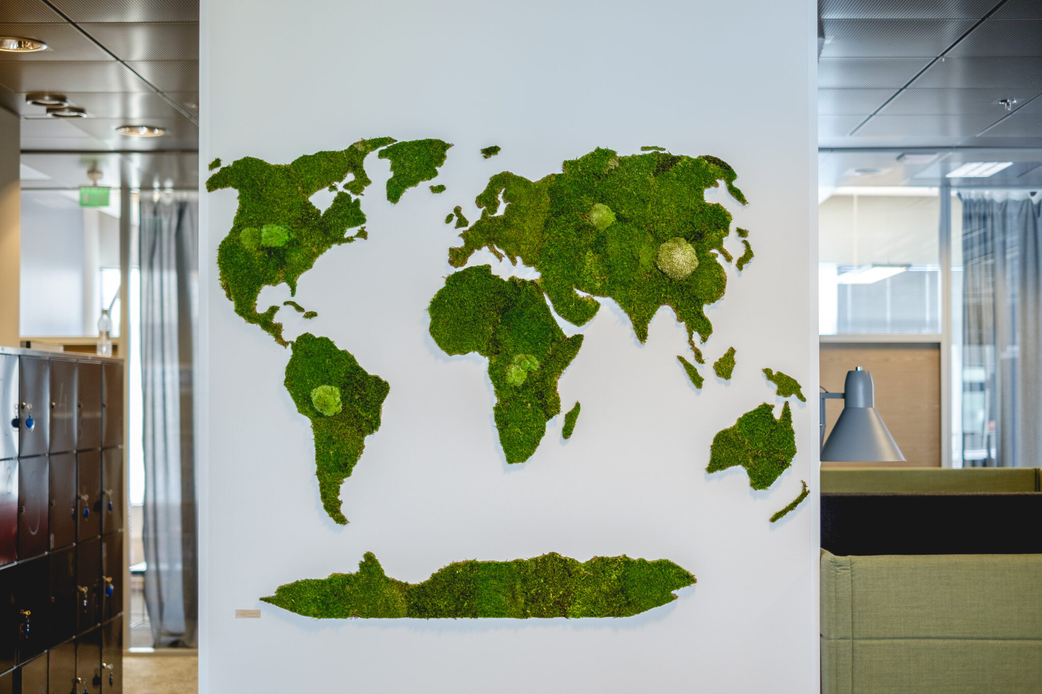 Карта мира из мха на стене