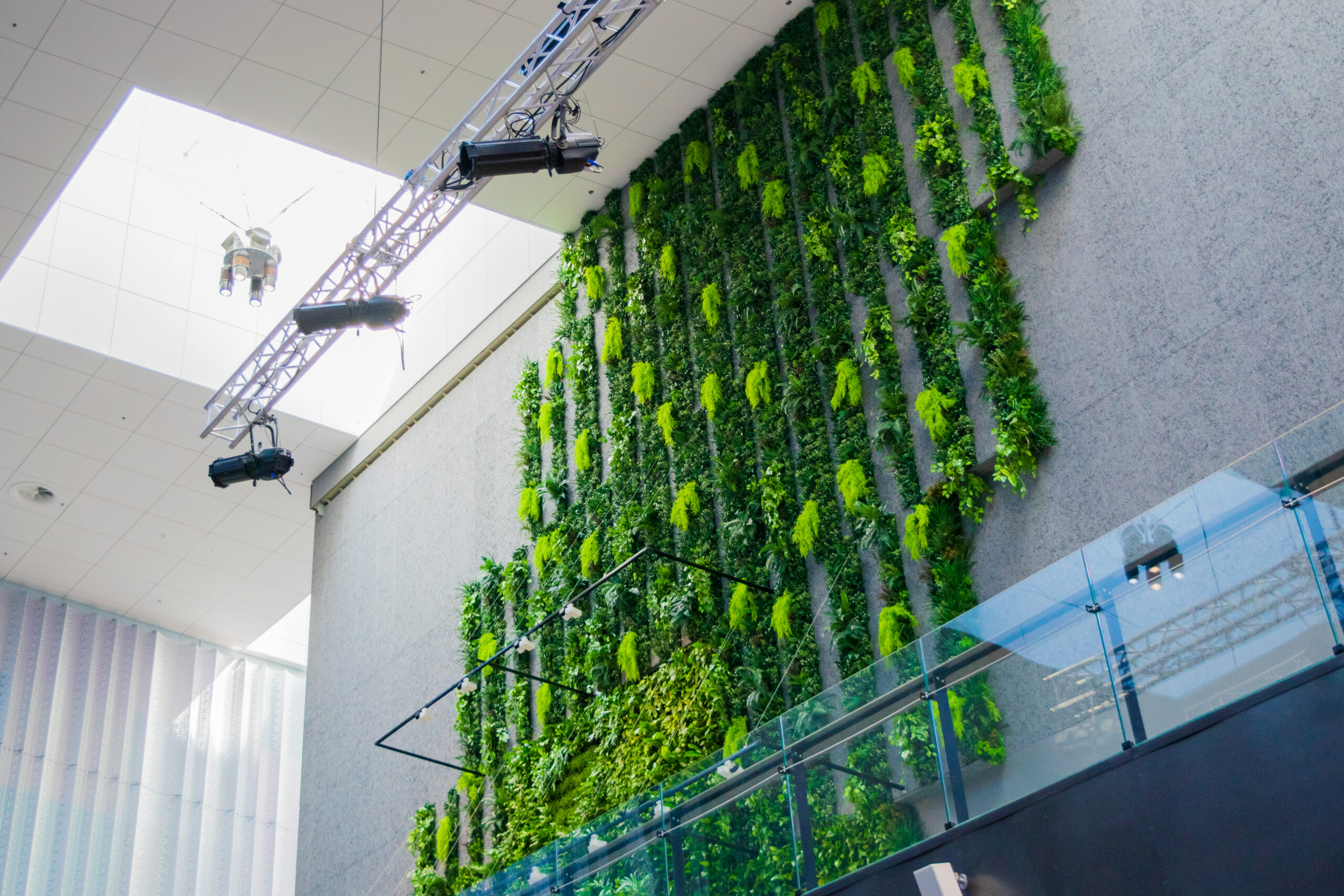 Looking for the perfect green wall – how to get started! - InnoGreen